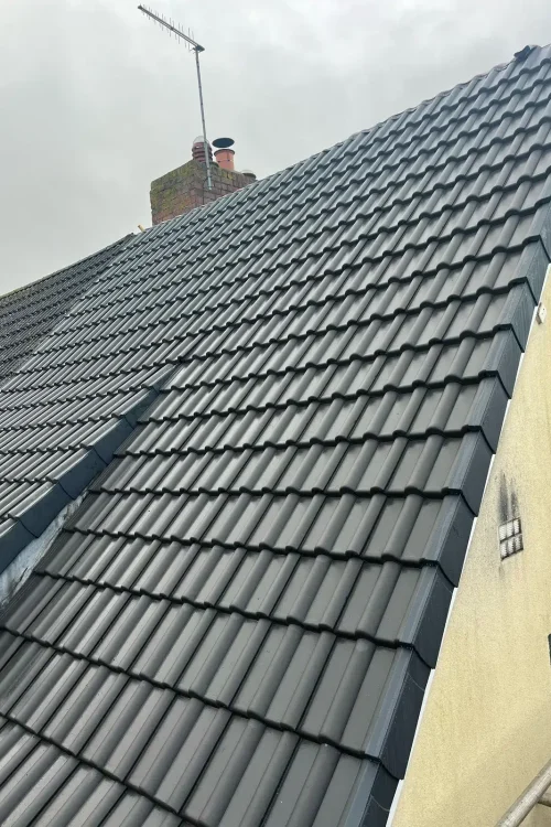 WhatsApp Image 2025-04-01 at 13 (8)